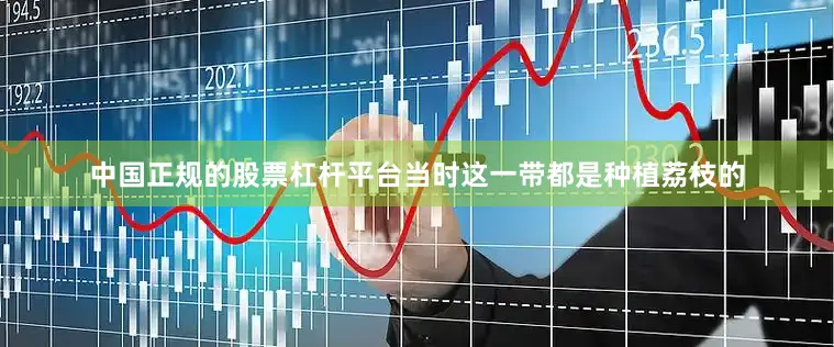 中国正规的股票杠杆平台当时这一带都是种植荔枝的