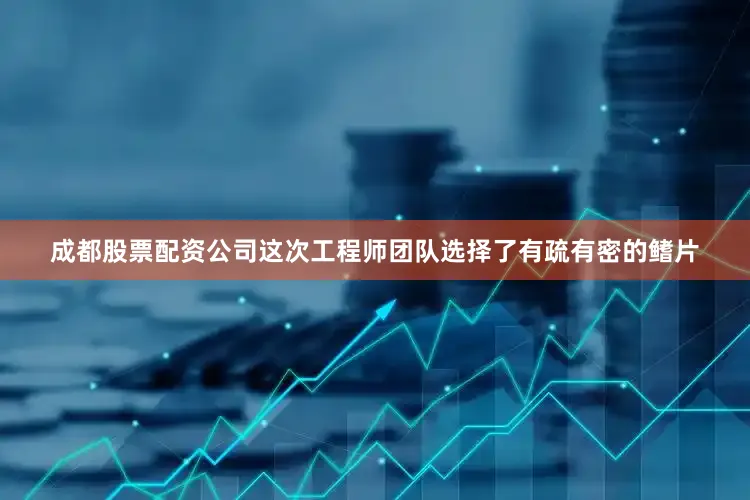 成都股票配资公司这次工程师团队选择了有疏有密的鳍片