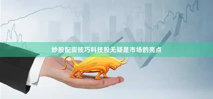 炒股配资技巧科技股无疑是市场的亮点